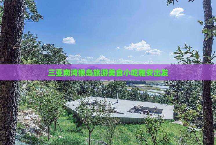 雅安出发三亚南湾猴岛旅游小吃