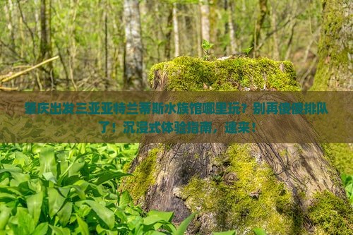 肇庆出发三亚亚特兰蒂斯水族馆哪里玩
