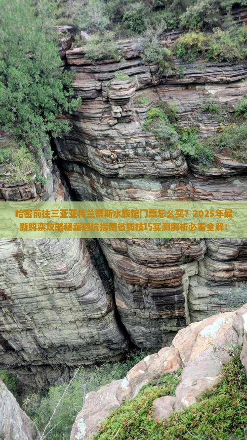 哈密前往三亚亚特兰蒂斯水族馆门票
