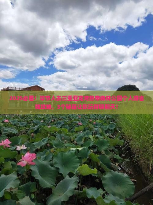 毕节去三亚亚龙湾热带森林公园个人游