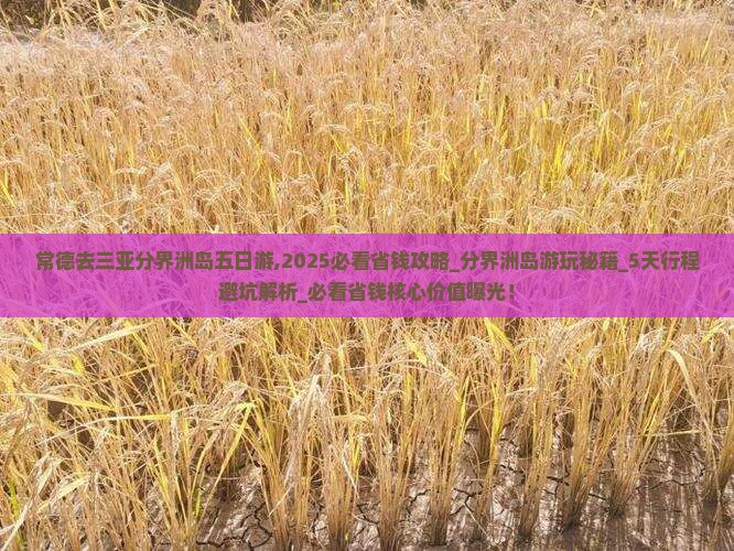 常德去三亚分界洲岛五日游