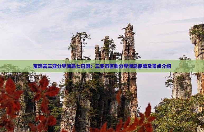 宝鸡去三亚分界洲岛七日游