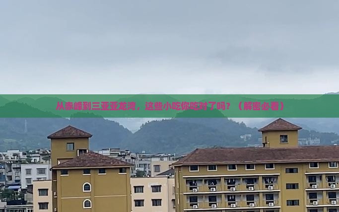赤峰去三亚亚龙湾旅游小吃