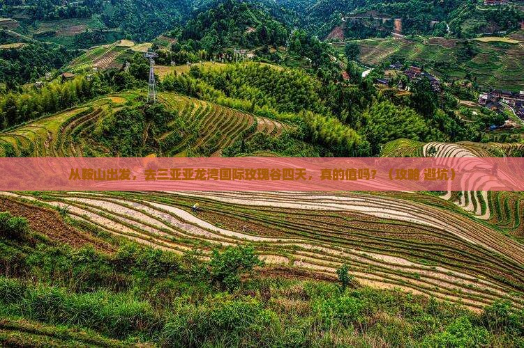 鞍山出发三亚亚龙湾国际玫瑰谷四日游