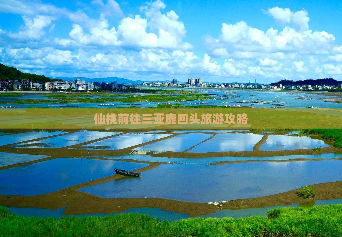 仙桃前往三亚鹿回头旅游网红地点