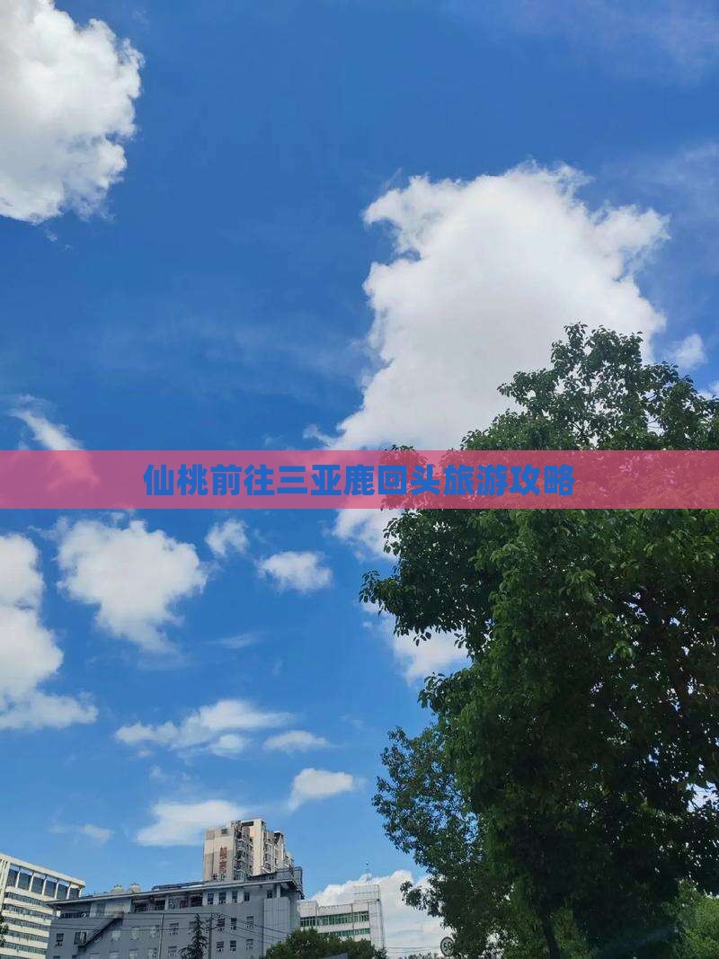仙桃前往三亚鹿回头旅游网红地点