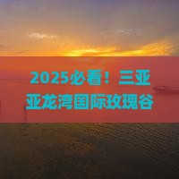 白银去三亚亚龙湾国际玫瑰谷旅行社
