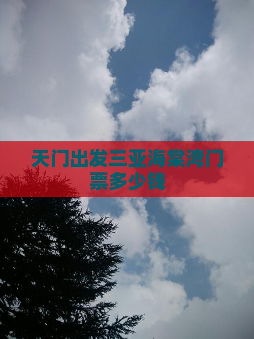 天门出发三亚海棠湾门票