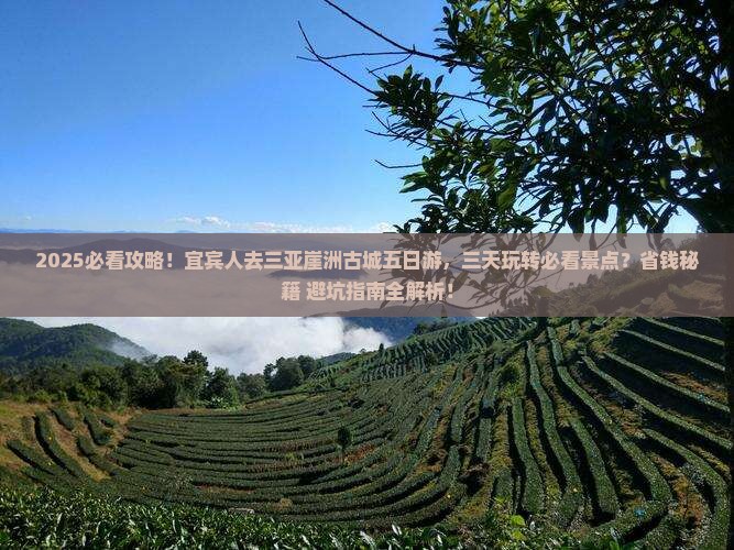 宜宾前往三亚崖洲古城五日游
