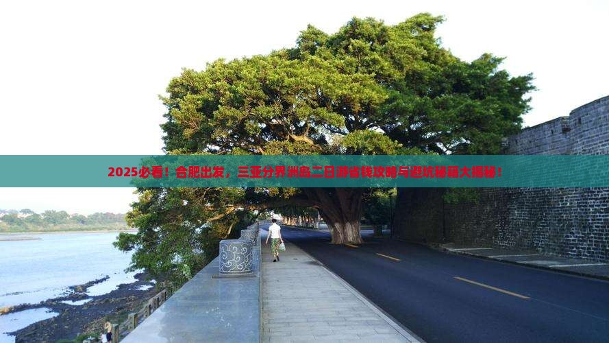 合肥前往三亚分界洲岛二日游