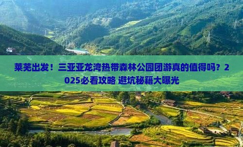 莱芜前往三亚亚龙湾热带森林公园大型旅游团
