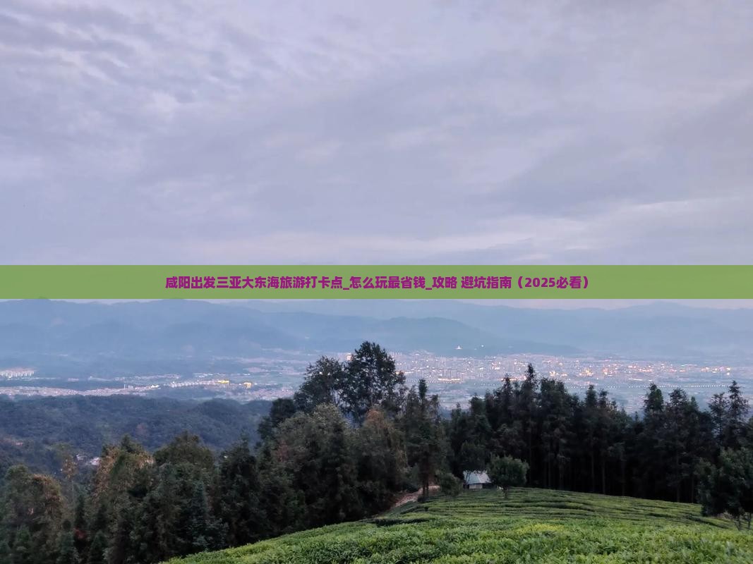 咸阳出发三亚大东海旅游打卡点