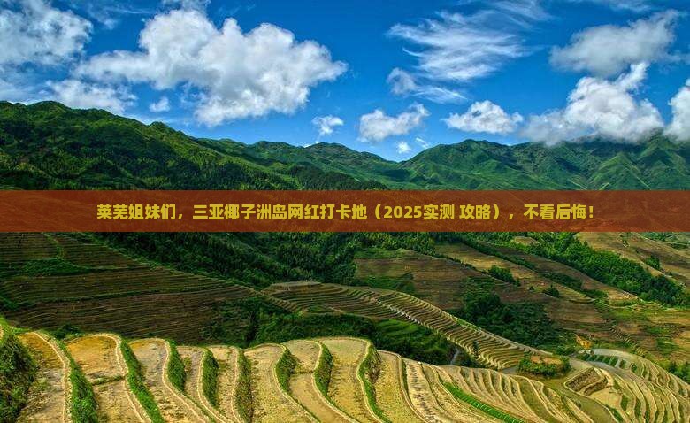 莱芜去三亚椰子洲岛旅游网红地点