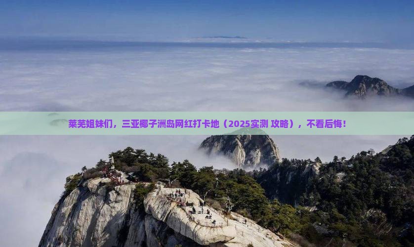 莱芜去三亚椰子洲岛旅游网红地点