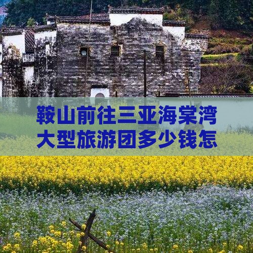 鞍山前往三亚海棠湾大型旅游团