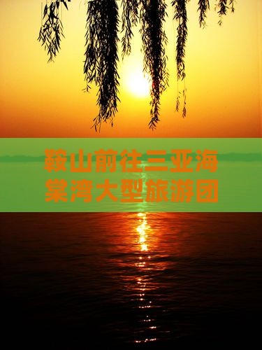 鞍山前往三亚海棠湾大型旅游团