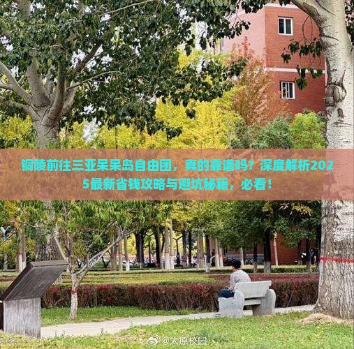 铜陵前往三亚呆呆岛自由团