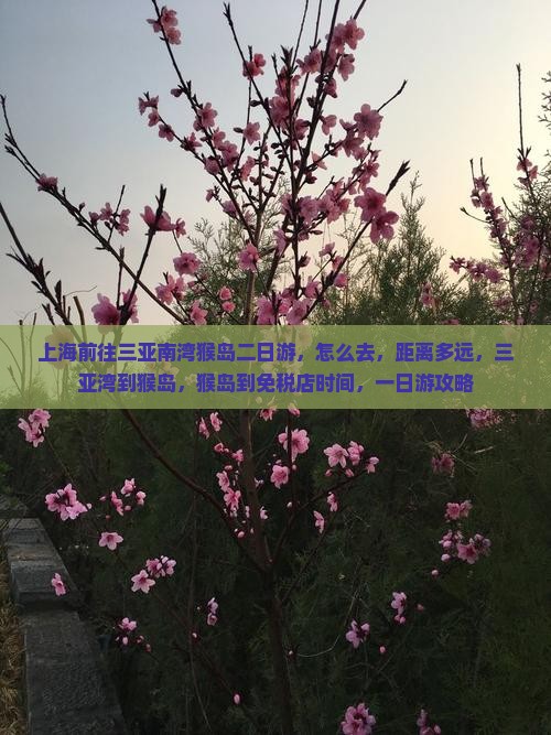 上海前往三亚南湾猴岛二日游