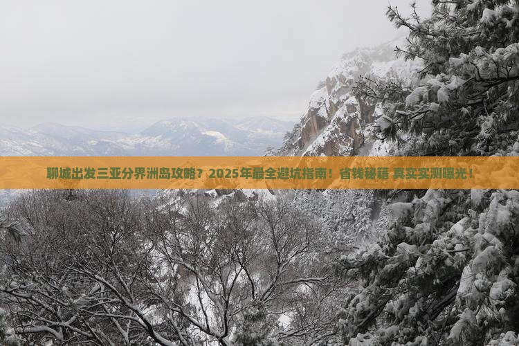 聊城出发三亚分界洲岛攻略