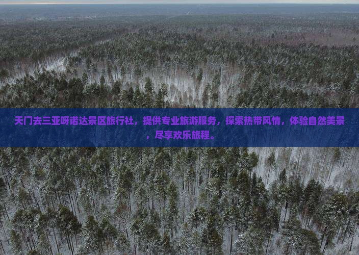 天门去三亚呀诺达景区旅行社
