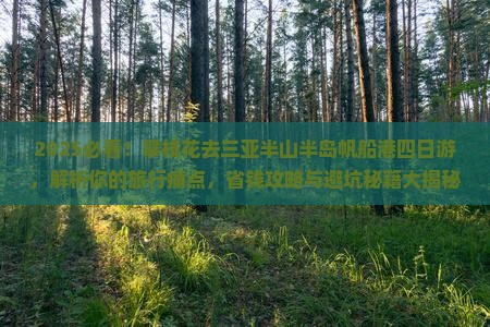 攀枝花去三亚半山半岛帆船港四日游
