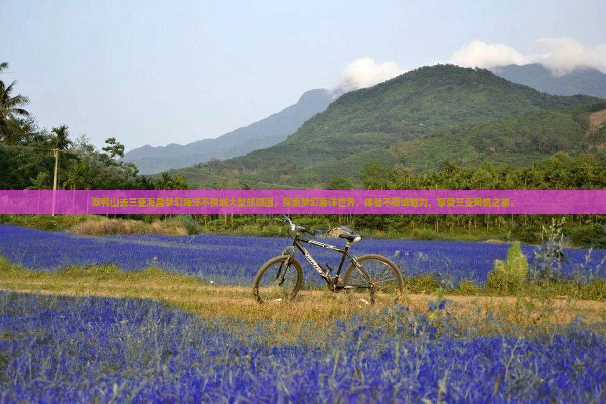 双鸭山去三亚海昌梦幻海洋不夜城大型旅游团