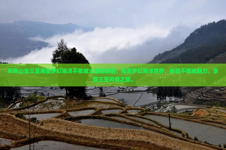 双鸭山去三亚海昌梦幻海洋不夜城大型旅游团