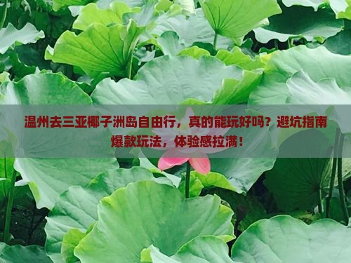 温州去三亚椰子洲岛自由行