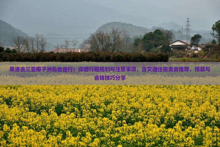 果洛去三亚椰子洲岛自由行