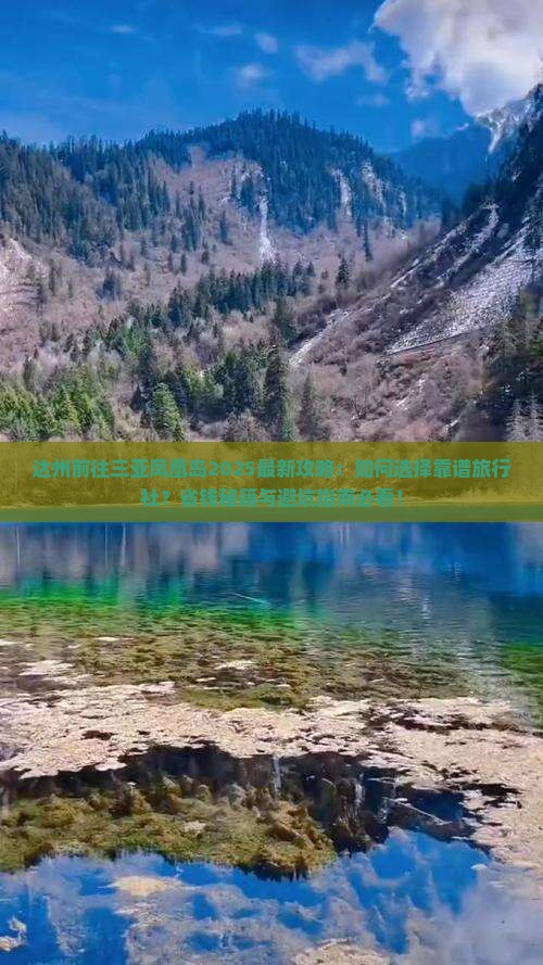 达州前往三亚凤凰岛旅行社