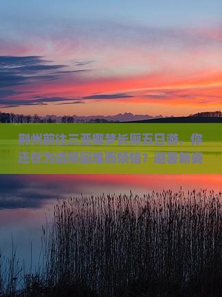 荆州前往三亚椰梦长廊五日游