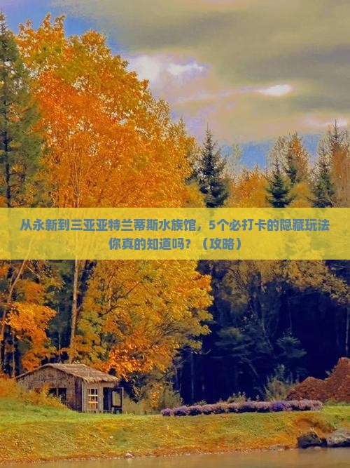 永新前往三亚亚特兰蒂斯水族馆必玩地