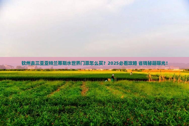 钦州去三亚亚特兰蒂斯水世界门票 钦州去三亚亚特兰蒂斯水世界门票