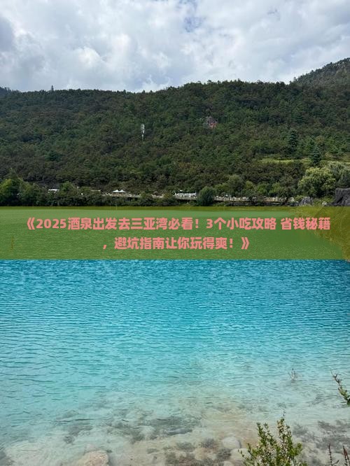 酒泉前往三亚三亚湾旅游小吃