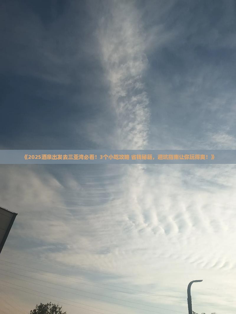 酒泉前往三亚三亚湾旅游小吃