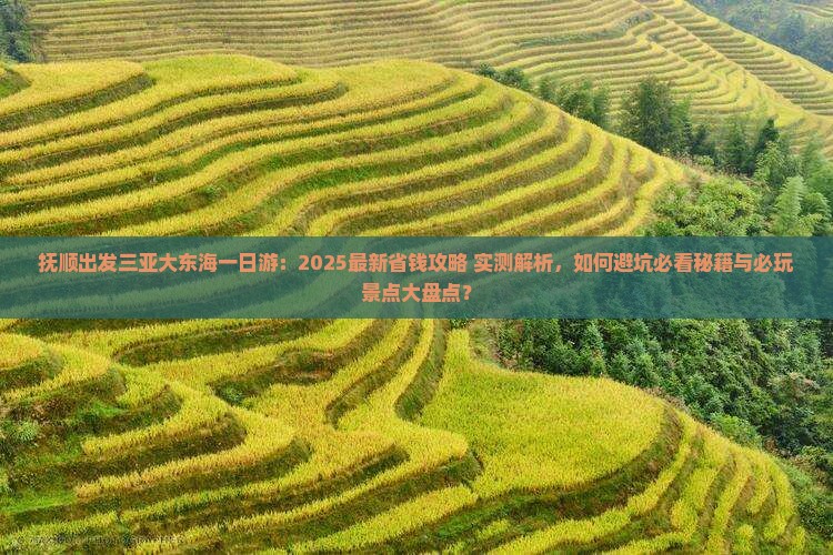 抚顺出发三亚大东海一日游