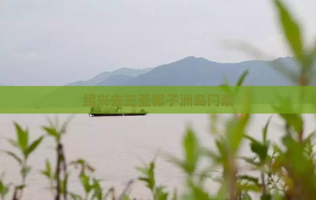 绍兴去三亚椰子洲岛门票