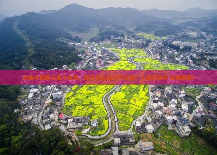 佳木斯去三亚小东海四日游