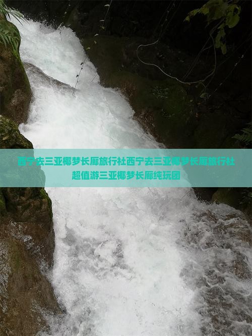 西宁去三亚椰梦长廊旅行社