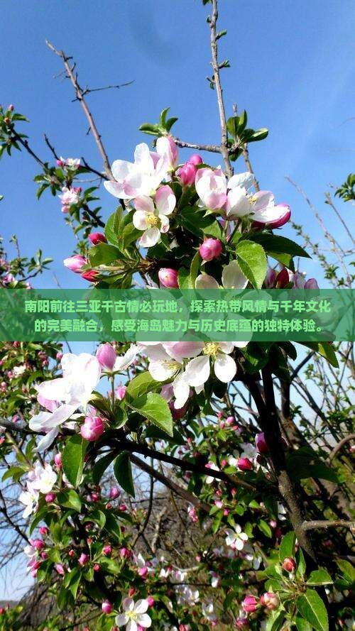 南阳前往三亚千古情必玩地