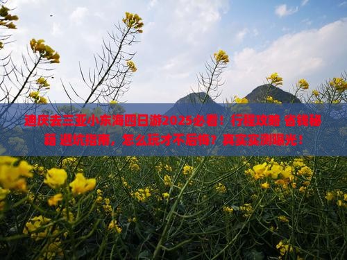 迪庆去三亚小东海四日游
