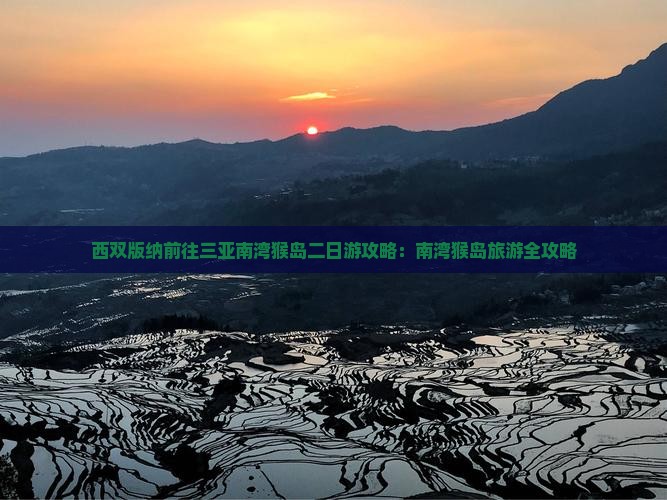 西双版纳前往三亚南湾猴岛二日游