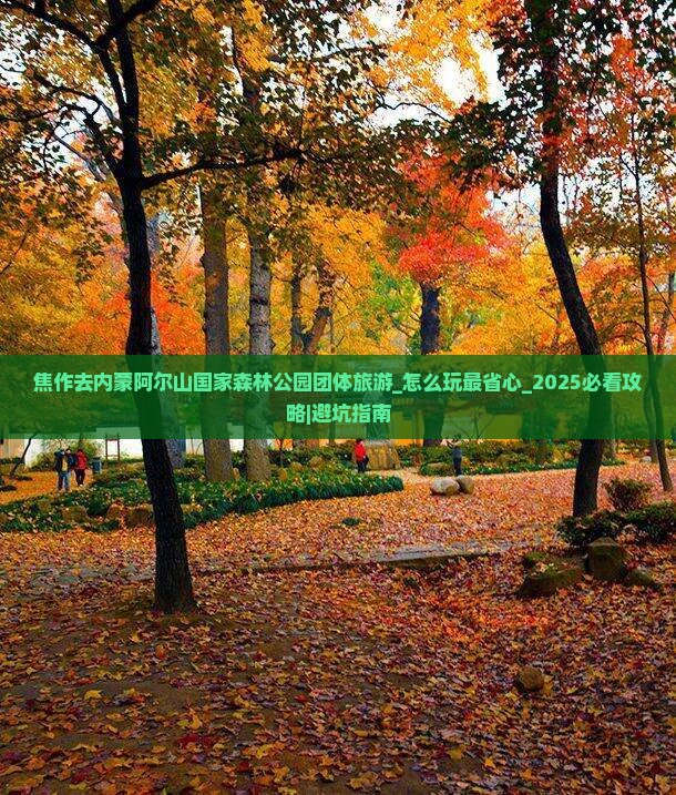 焦作去内蒙阿尔山国家森林公园团体旅游