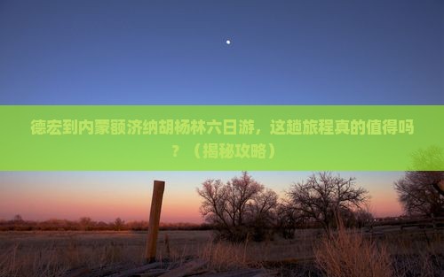 德宏到内蒙额济纳胡杨林六日游