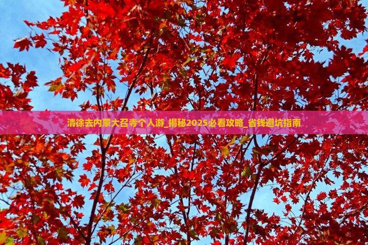 清徐去内蒙大召寺个人游