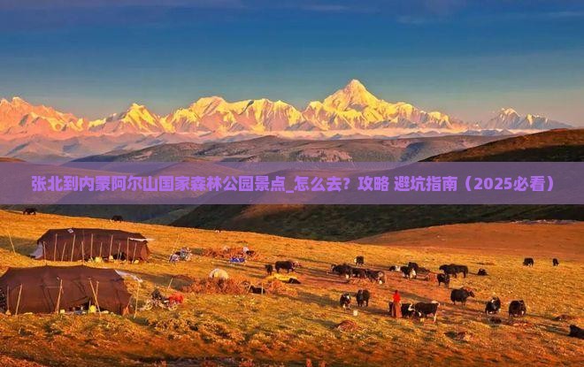 张北到内蒙阿尔山国家森林公园景点