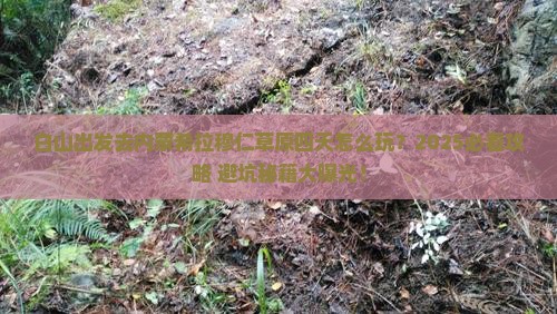 白山到内蒙希拉穆仁草原四日游