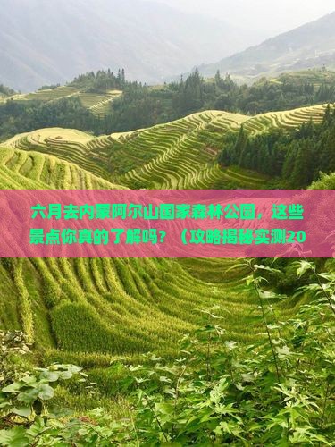 六月到内蒙阿尔山国家森林公园景点