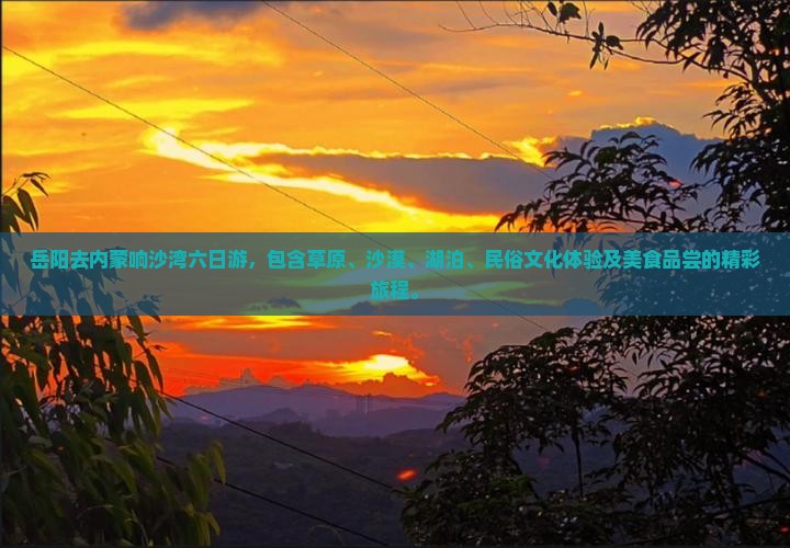 岳阳去内蒙响沙湾六日游