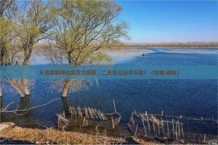 吕梁去内蒙呼伦贝尔大草原二日游